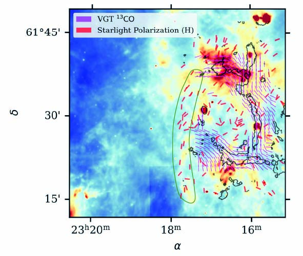 The map highlights the plane of the sky magnetic field orientation in G111 derived using the various approaches, shown by segments. The background is the WISE space telescope 8 micron emission that shows the warmer dust component while the black contours show the cold and dense dust component where most of star formation is occurring. As can be seen from the pink segments, the magnetic field structure derived from the IRAM 30-meter observations is curved and tightly follows the cold filamentary ridge of G111, shown as black contour on the right part of the figure. The magnetic field derived from near-infrared polarization in red (highlighted by the green contour in the lower-central part) follows the warmer dust component in the background.